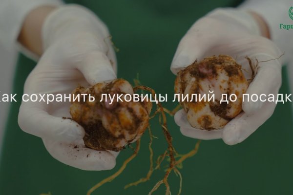 Кракен зеркало на тор