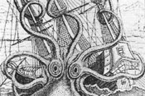 Kraken 23 at
