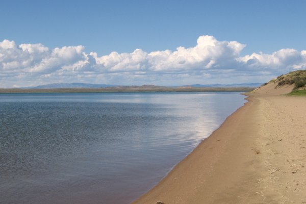 Кракен новый сайт