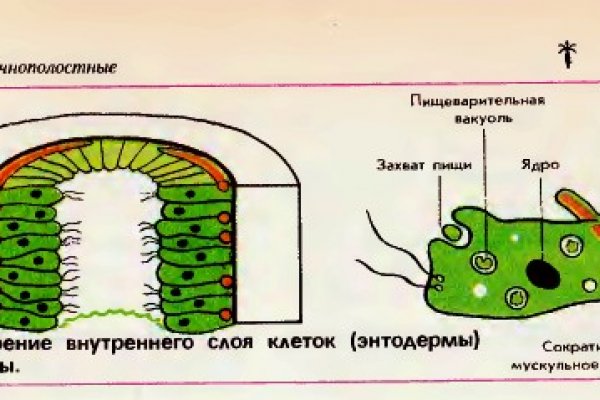 Кракен зеркала официальные