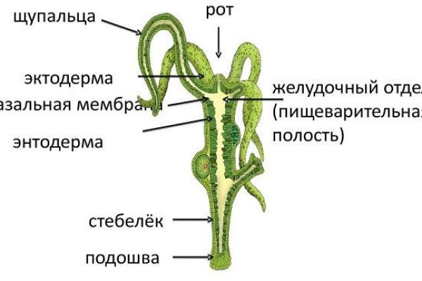 Kra50.cc Вход на сайт главная страница