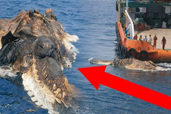 Kraken tor onion зеркало