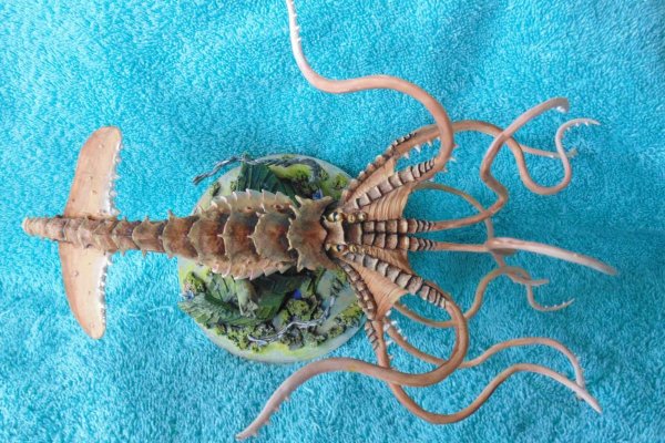 Ссылка на kraken торговая площадка