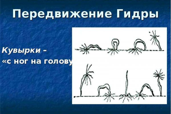 Кракен тор это