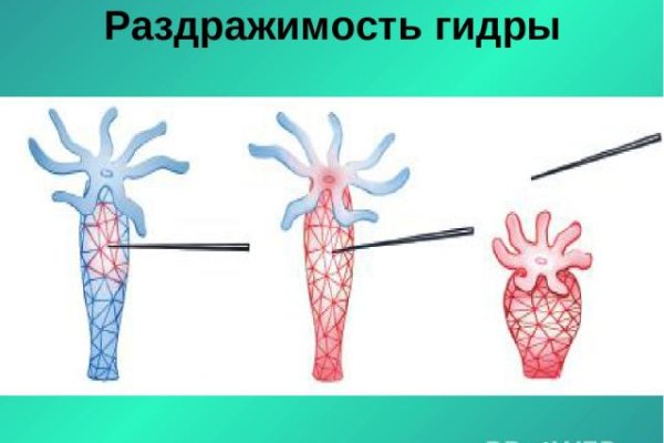 Кракен ссылка pw