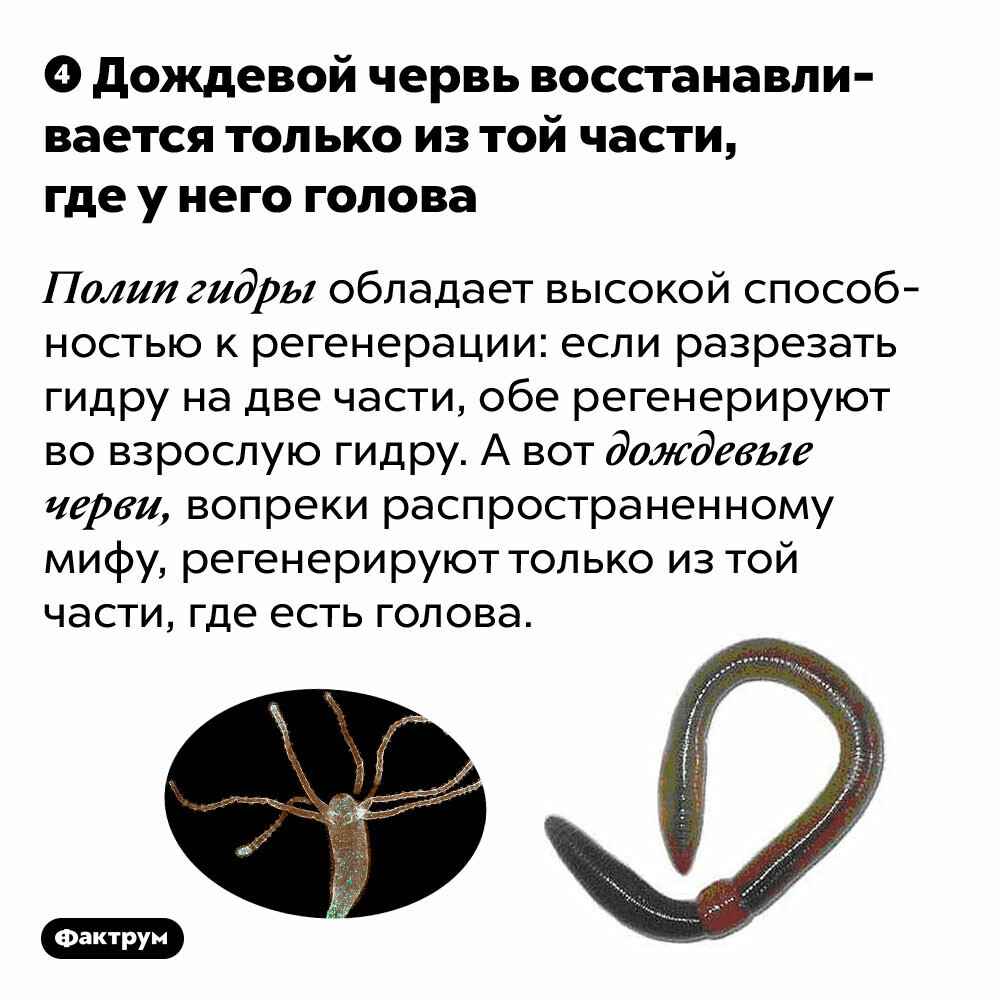 Кракен даркнет плейс